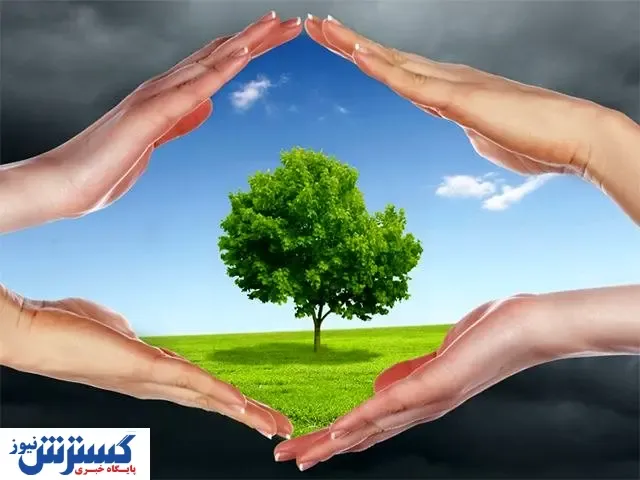 مافیای ساخت و ساز توسط دولت و شهرداری حمایت می شود