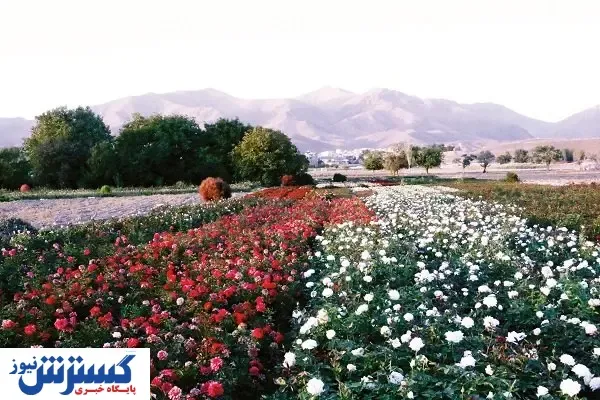 ارزشمند اما بی‌اعتبار