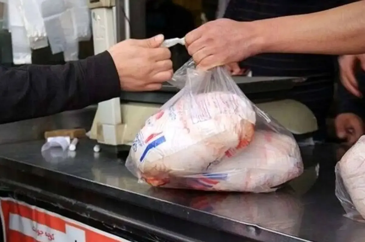 قیمت مرغ رسماً کاهش یافت