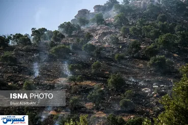 تصاویر/ پدیده هرساله جنگل‌سوزی در زاگرس