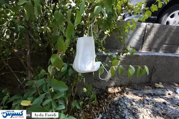 تصاویر/ روایت تلخ ماسک های رها شده