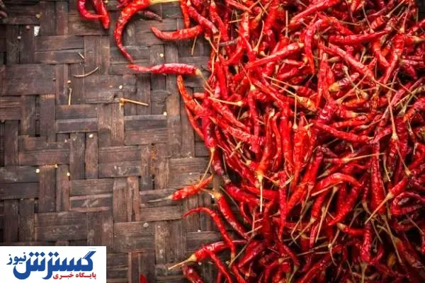 آمار واردات فلفل به کشور