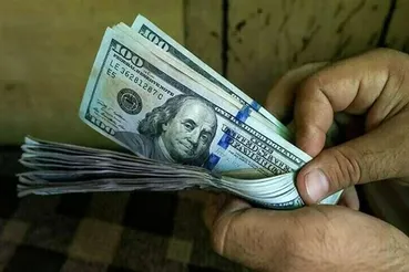 قیمت دلار امروز سه‌شنبه ۲۹ اردیبهشت + جدول تغییرات هفتگی و سالانه