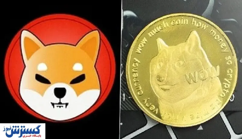 شیبا قاتل دوج‌کوین!