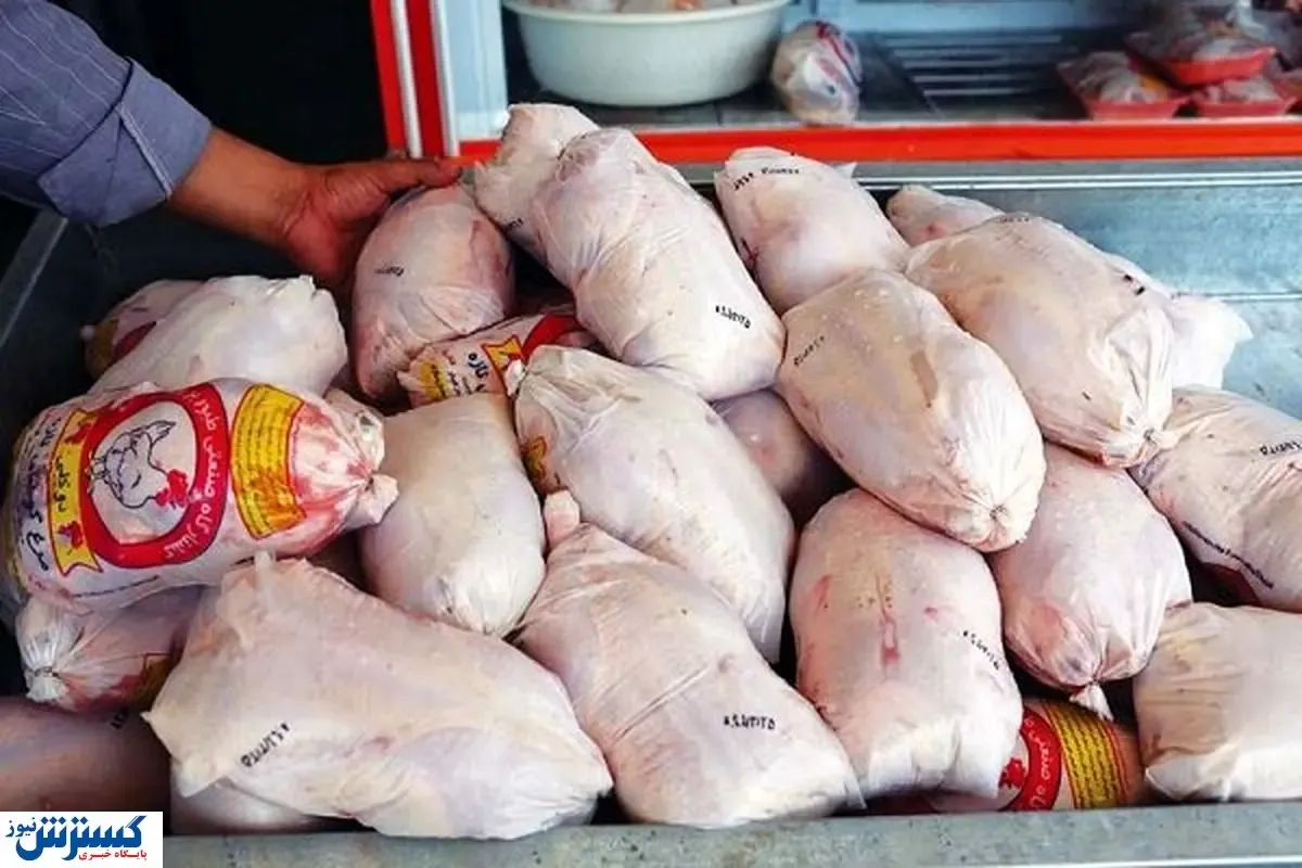 انواع مرغ در بازار چند؟ ( ۴ شهریور )