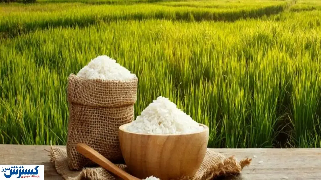 برنج آمریکایی در  راه عراق