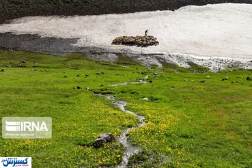 تصاویر/ کوچ عشایر ارسباران