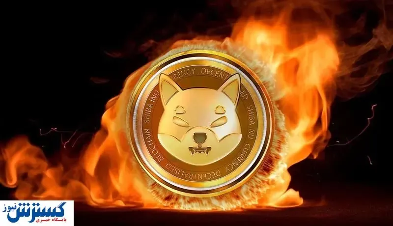 سوختن یک میلیارد توکن در کوره‌های شیباسوزی