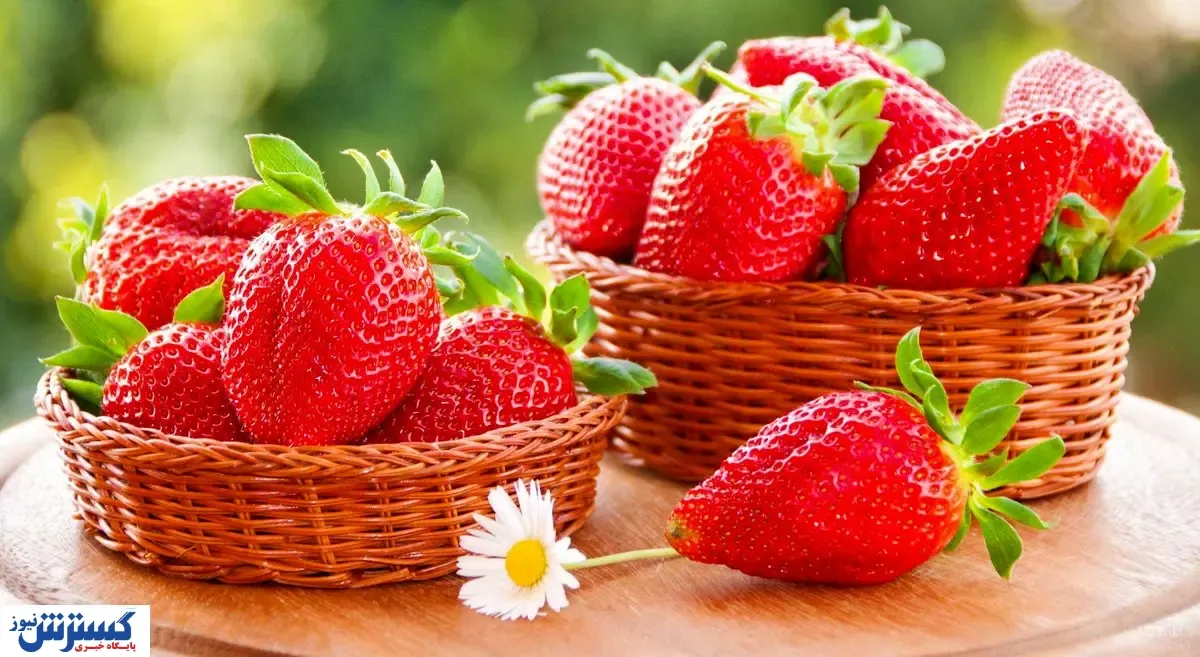 خواص باورنکردنی توت‌ فرنگی را بشناسید