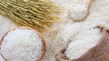 سیل برنج به بازار رسید/ قیمت برنج ایرانی و خارجی متعادل شد