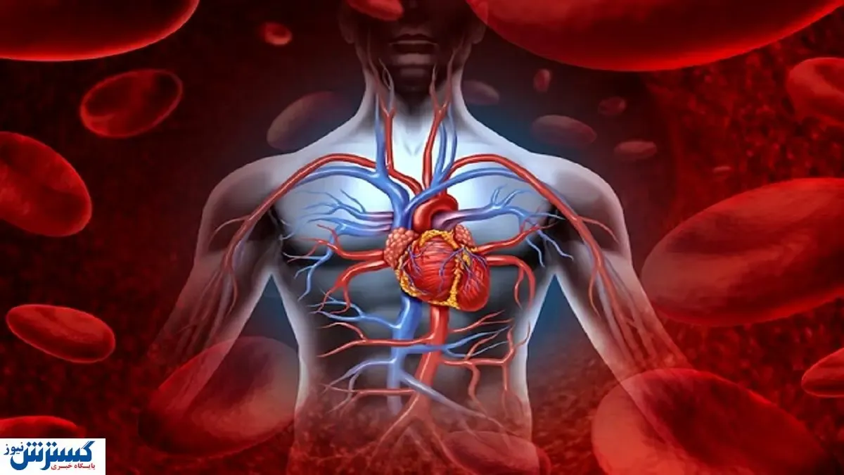 این خوراکی ها اکسیژن خون را افزایش می دهد