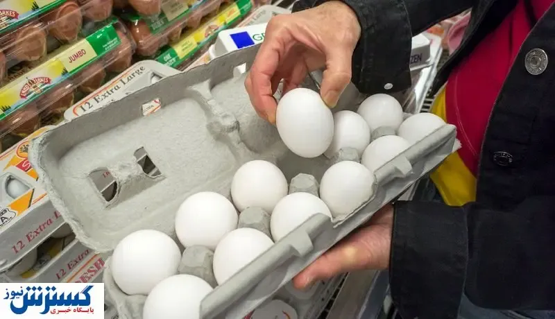 تخم مرغ باز هم گران شد / بازار در آستانه التهاب بزرگ