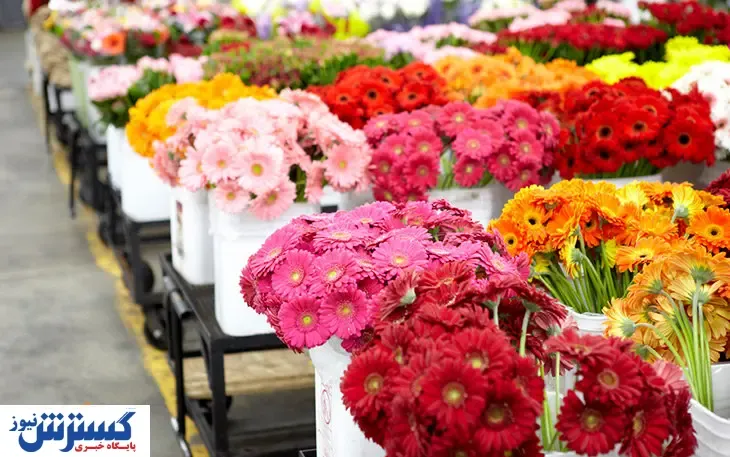 تسهیلات کرونایی برای بازار گل و گیاه زینتی
