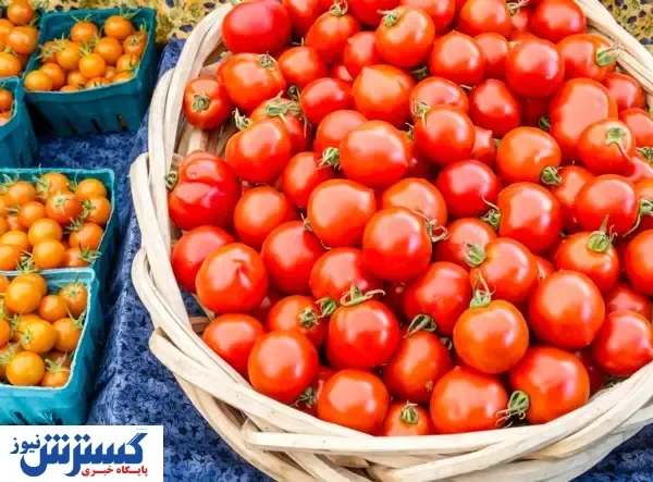 کاهش قیمت این محصول محبوب / بازار آماده یک تحول شد