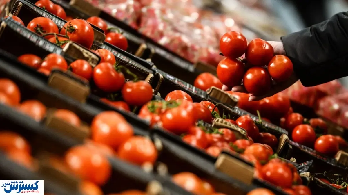 قیمت رسمی گوجه در بازار اعلام شد (۵ آذر)