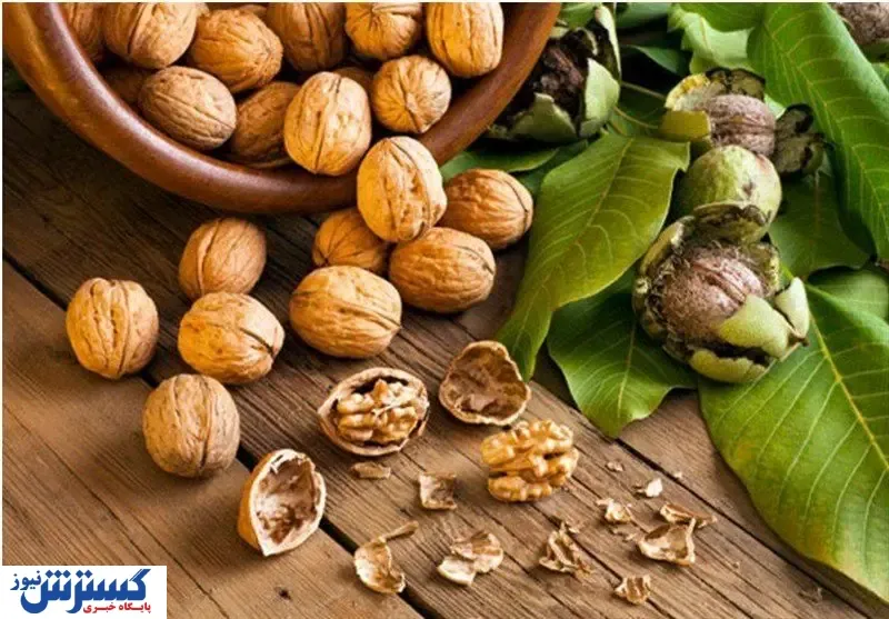 قیمت انواع گردوی تویسرکان در بازار + جدول