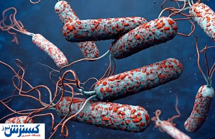 وبا دوباره در کشور شایع می شود؟