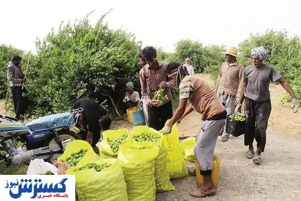 خودکفایی در گرو ظرفیت‌های اقلیمی