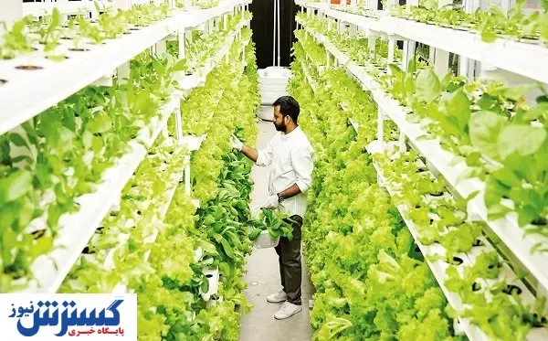 ستاد کشاورزی و غذا تشکیل می‌شود