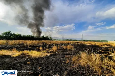 تصاویر/ گردشگران آتش به جان طبیعت انداخته‌اند