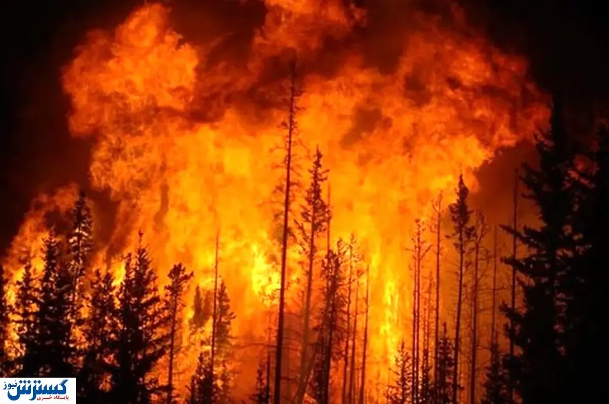 دلیل آتش سوزی بزرگ در ترکیه مشخص شد