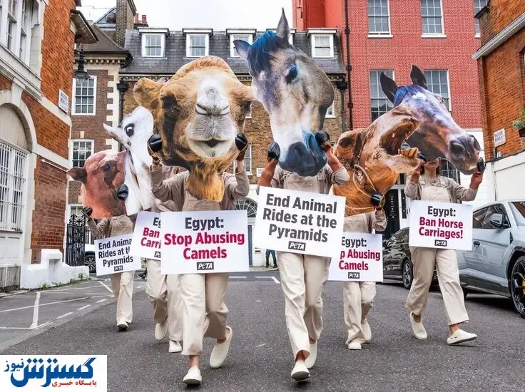 حامیان عجیب حقوق حیوانات در مقابل سفارت مصر در لندن+ عکس