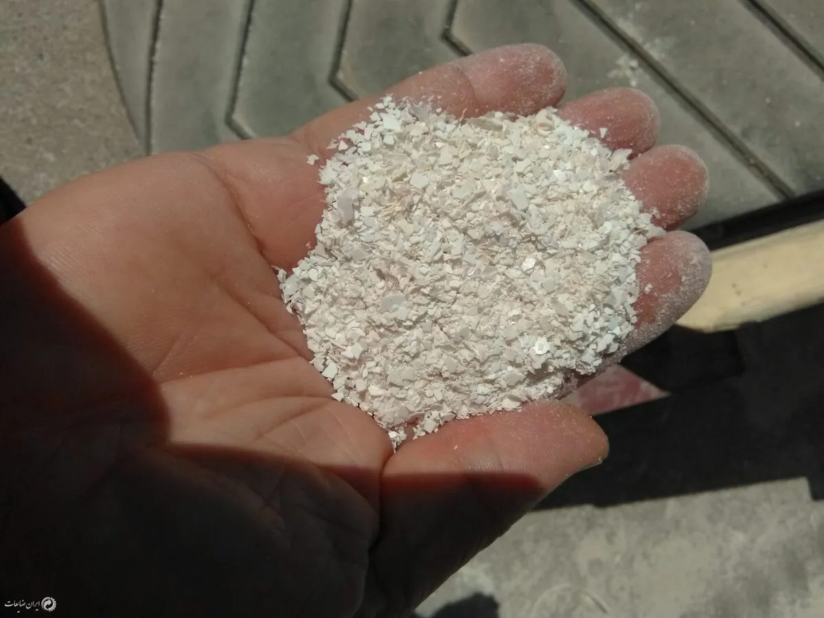 فرمول جوانی پوست و ضد ریزش مو کشف شد