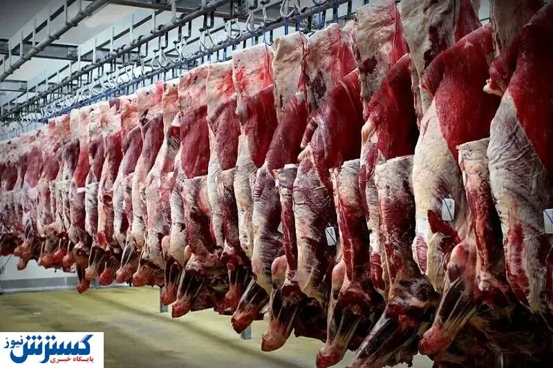 ثبات بازار گوشت دوباره بهم ریخت/ افزایش مجدد قیمت ها