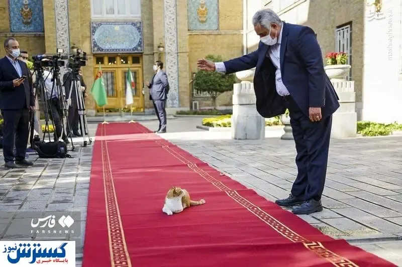 گربه ملوس روی فرش قرمز وزارت خارجه حاشیه ساز شد + عکس