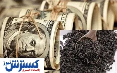 رقم فساد چای دبش برابر با هزینه ساخت شهر تفریحی عربستان / با این پول در کشورهای دیگر چه می شود کرد؟