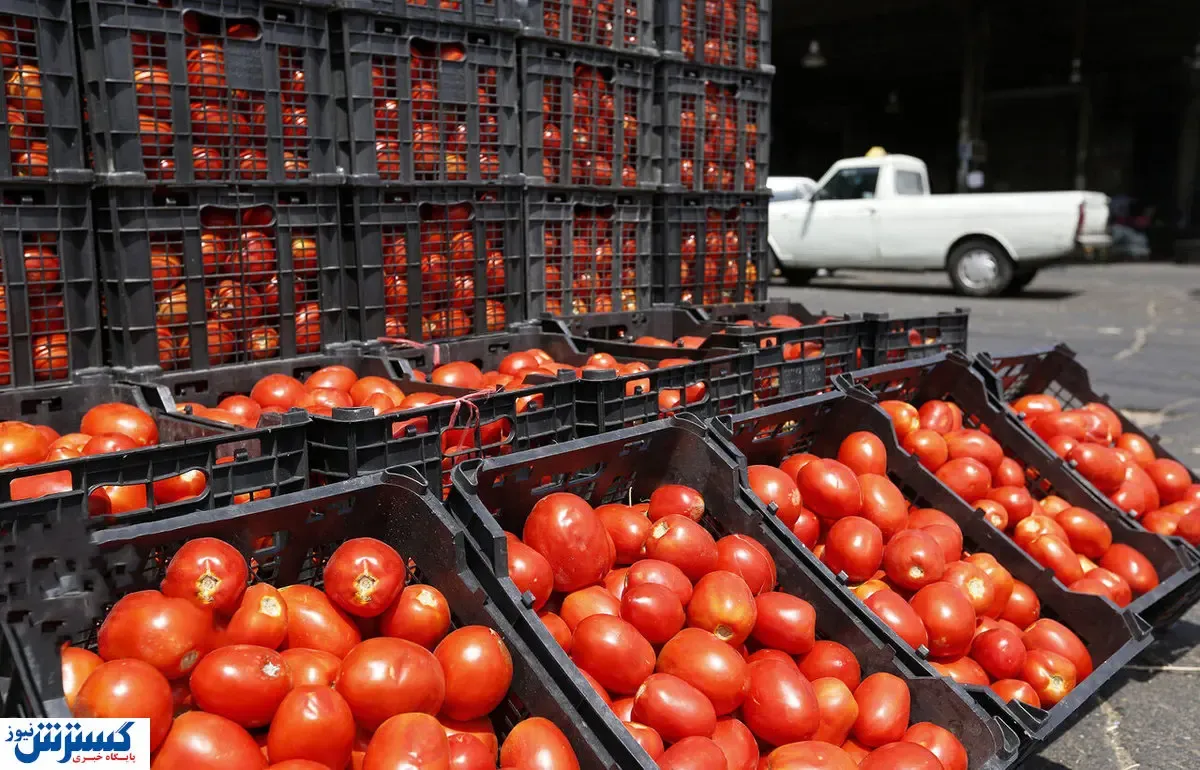 گوجه ۷۰ هزار تومانی کی ارزان می شود؟