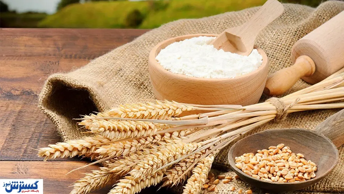 ابلاغیه درباره خرید و فروش آراد اعلام شد