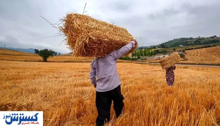 جزئیات وام کم‌بهره برای کشاورزان