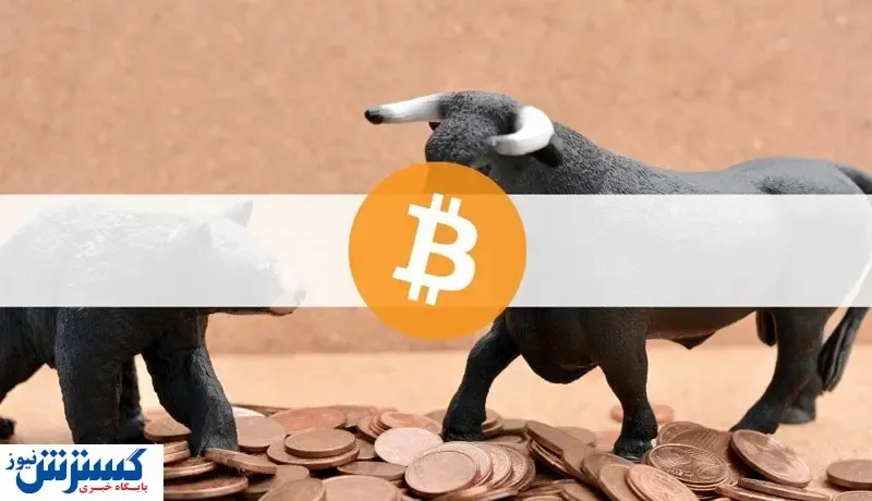 بازگشت گاوها / افزایش قیمت بیت کوین در راه است؟