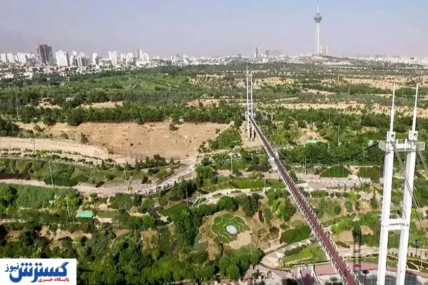 درختان پارک پردیسان قربانی پروژه جدید دولت شد