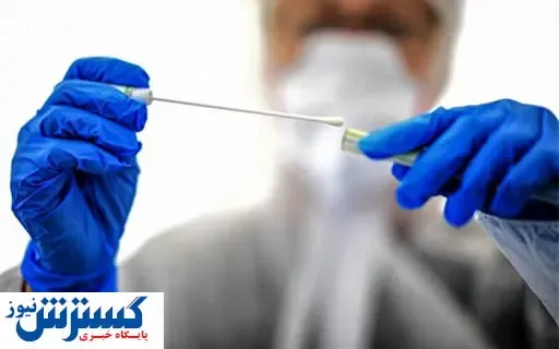 تست های رپید کرونا در راه است