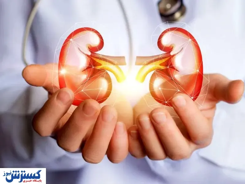 ۱۰ علامت اولیه اختلالات کلیوی را بشناسیم