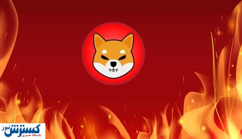 کاهش ۵۰ درصدی قیمت شیبا / علت چیست؟