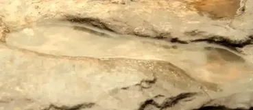 ۸۰۰ هزار سال رمزگشایی شد / ردپای انسان‌های اولیه در انگلستان کشف شد!