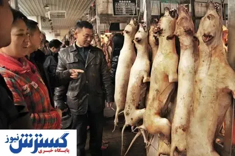 نمایشگاه گوشت سگ در چین افتتاح شد