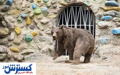 باغ وحش ها تعطیل می شوند؟