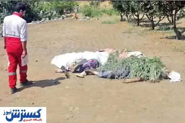 قتل‌عام در باغ/این مرد ۶ نفر را کشت!