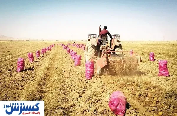 حمایتی دلال پسند