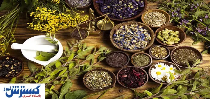 گیاهان مؤثر در درمان عوارض کرونا