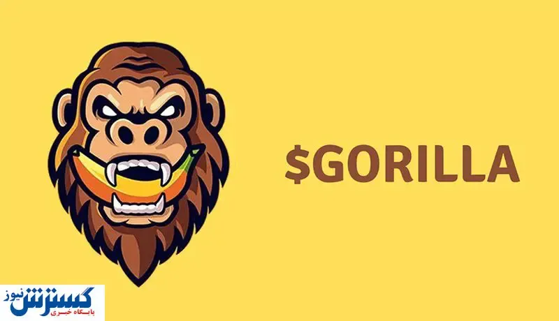 پیش بینی مهم از آینده گوریل / قیمت میم کوین ترند چقدر می شود؟