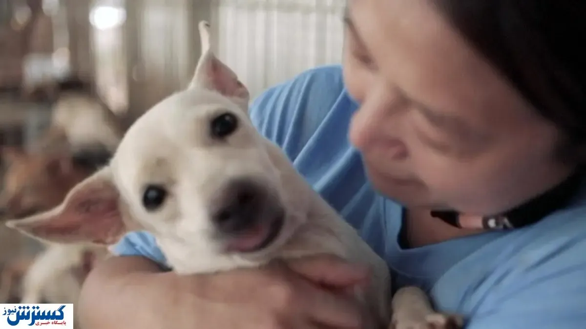 پایان سگ بازی خونین در اندونزی