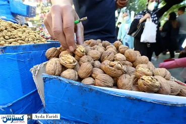 تصاویر/ جیب کوچک مردم و گرانی خشکبار!