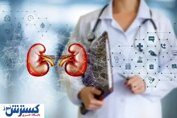 لیست بهترین دکترهای نفرولوژی؛ دریافت نوبت+ خدمات دکتر کلیه