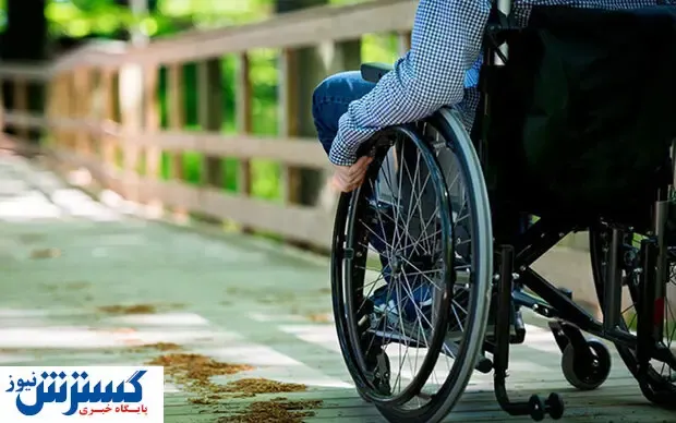 شهریه رایگان دانشگاه برای این گروه/تحصیل رایگان در مدارس غیر انتفاعی