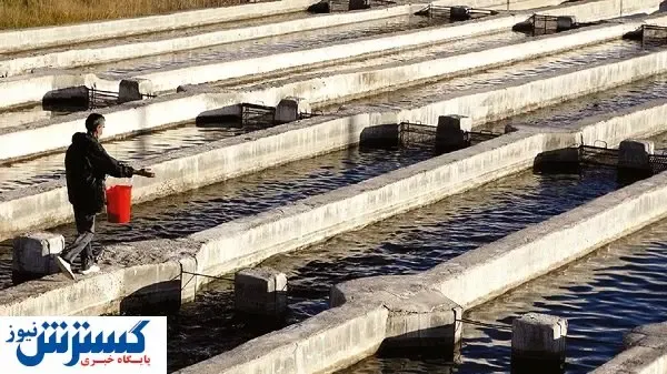 پشت پرده کاهش صادرات خاویار ایران